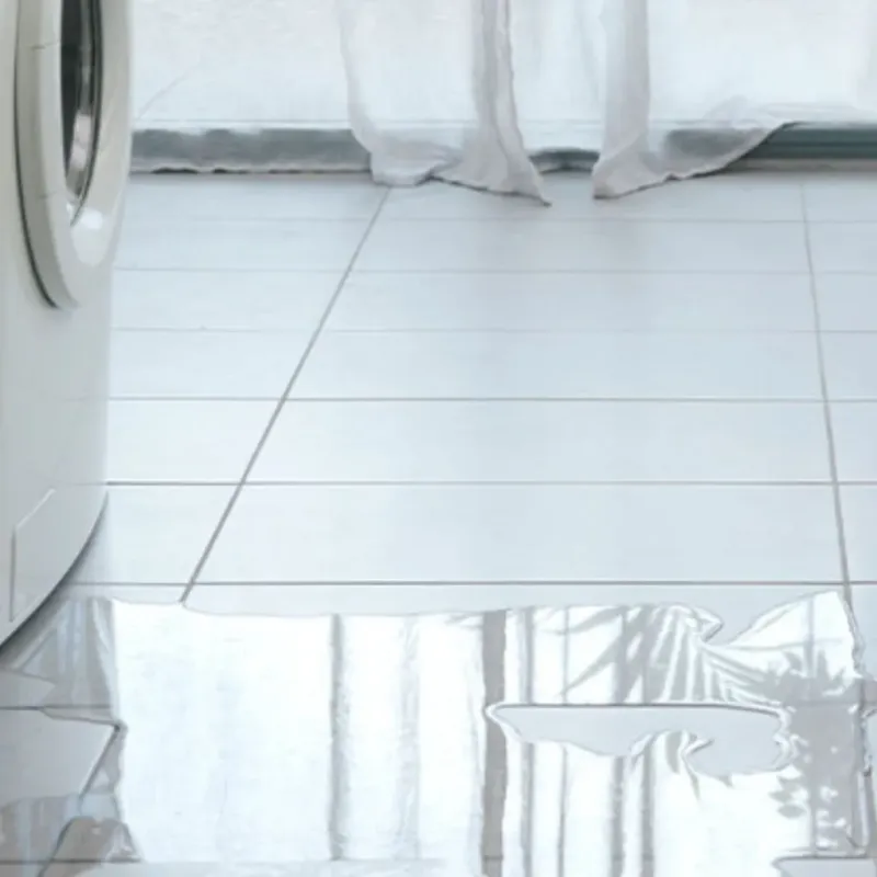 Appliance Leak Cleanup in Vamo, FL