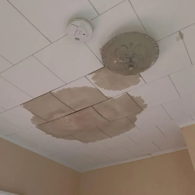 Ceiling Water Damage Repair in Vamo, FL