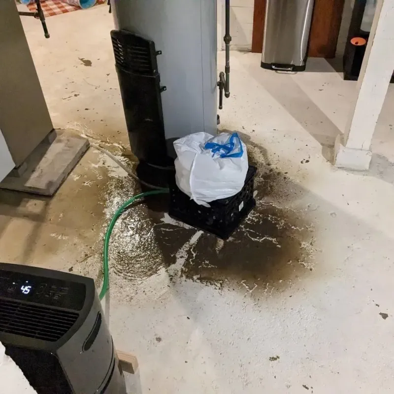 Sewage Backup Cleanup Service in Vamo, FL
